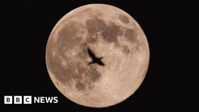 In Pictures: Sky-gazers capture Cold Moon across East