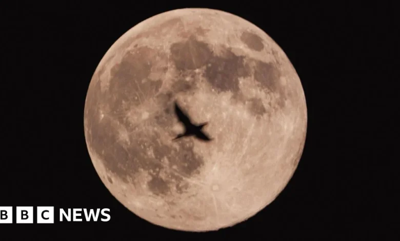 In Pictures: Sky-gazers capture Cold Moon across East