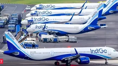 Indigo Flight Status December 16: Over 50 flights cancelled; check full list from major airports today