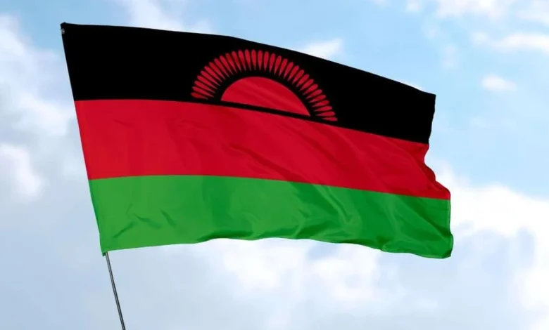 Industry raises alarm over Malawi’s ‘knee-jerk’ visa proposal