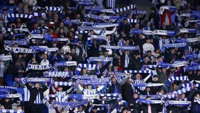 Información útil para hoy