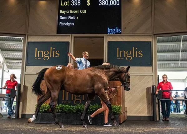 Inglis Classic Sale-Topper Wins HK International Mile