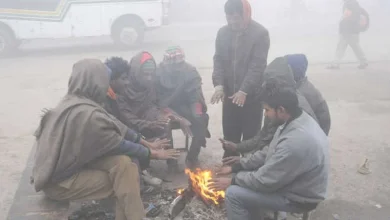 Intense cold in Punjab, Haryana; Rupnagar coldest at 3.6 degrees C