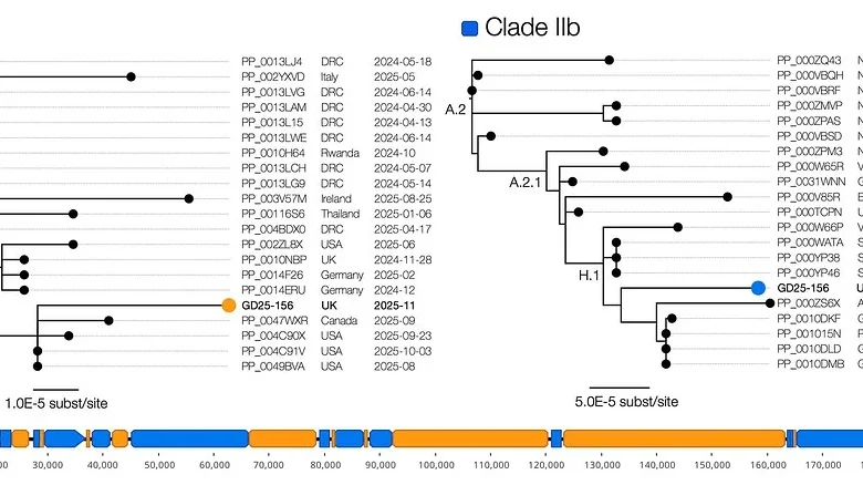 Inter-Clade Recombinant Mpox Virus Detected in England in a Traveller Recently Returned from Asia