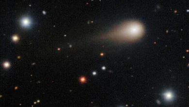 Interstellar comet 3I/ATLAS' journey through our solar system, in photos