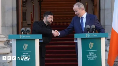 Ireland to give €125m to Ukraine as Zelensky visits Dublin