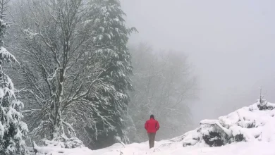 Ireland weather expert gives white Christmas verdict in 'settled' prediction