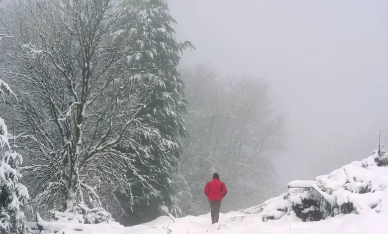 Ireland weather expert gives white Christmas verdict in 'settled' prediction