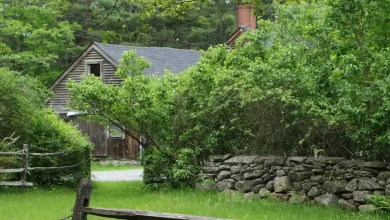 Is Matt Rife trying to trademark 'Conjuring House'? What to know