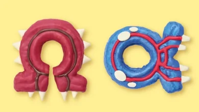 Is The Pokémon Café's New Mega Dimension Menu Teasing Some Returning Legendaries?