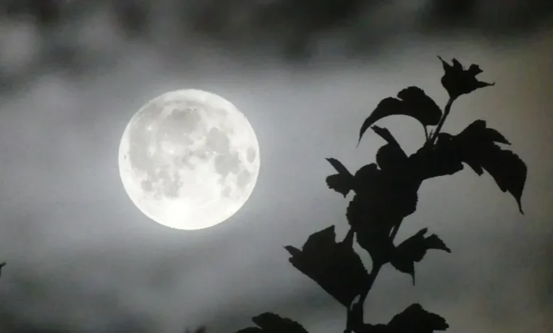 Is there a full moon tonight? December 2025 cold moon meaning, today's moon phase