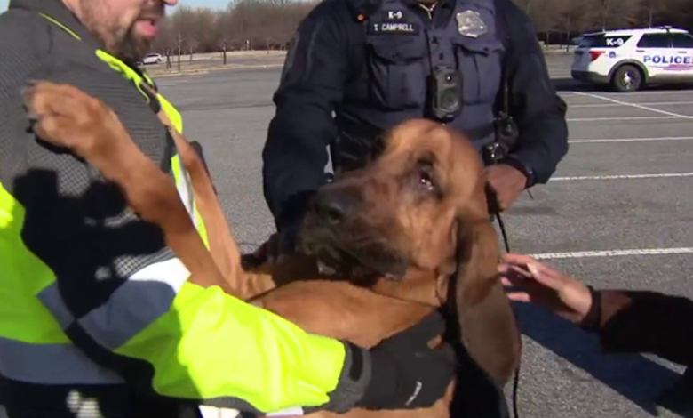 'It's a very amazing thing': DC police bloodhound helps find 2 missing people