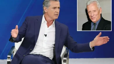 James Woods warns Gavin Newsom's 'atrocious' record will eventually tank his presidential appeal