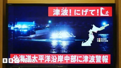 Japan tsunami warning after major earthquake strikes north-east coast