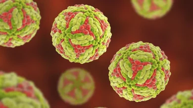 Japanese encephalitis detected in rural Victoria