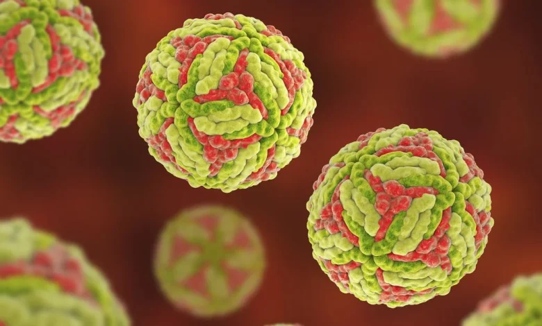 Japanese encephalitis detected in rural Victoria