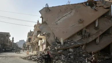 Joint Syrian-US patrol comes under attack near Palmyra: State media