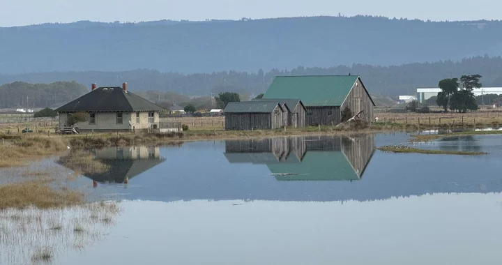 KING TIDES INCOMING! Coastal Humboldt Will See Some of the Highest Waves of the Year This Week, and You Can Help Science By Taking Cool Photos