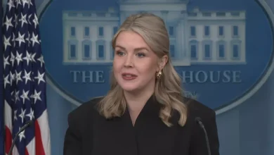 Karoline Leavitt debuts new look with plumped pout and accessory at White House briefing