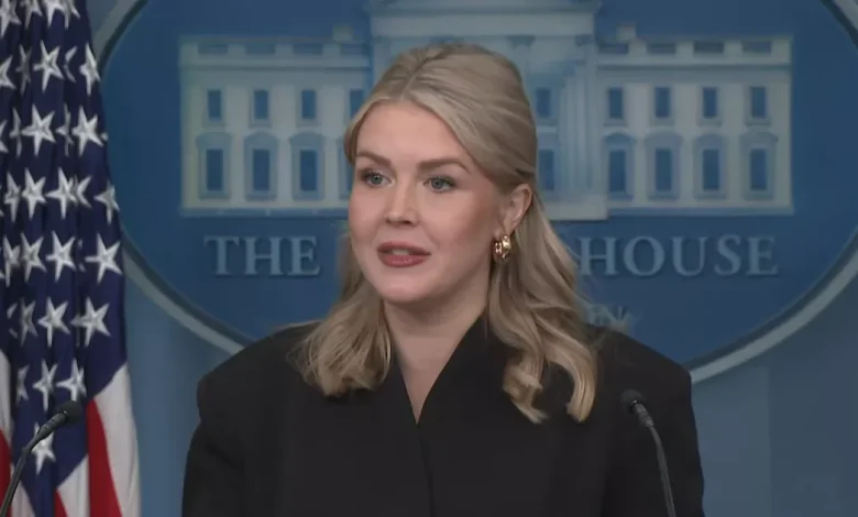 Karoline Leavitt debuts new look with plumped pout and accessory at White House briefing