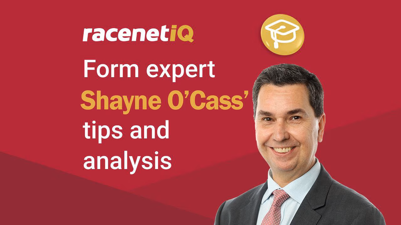 Kempsey, Orange Monday tips: $8 value bet