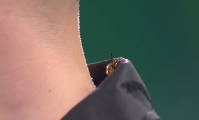 Kenyan hero David Munyua wants to keep Ally Pally wasp as it plays starring role at World Darts Championship