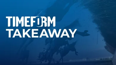 King George and Christmas Hurdle analysis: The Timeform view