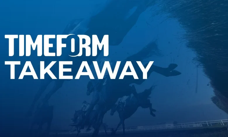 King George and Christmas Hurdle analysis: The Timeform view