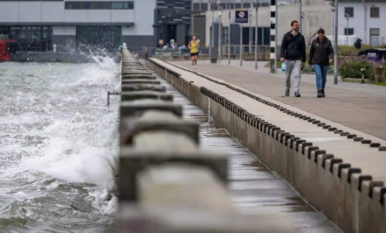 King Tides to Flood Bay Area Shorelines This Week. Here's Where and When to Safely See Them