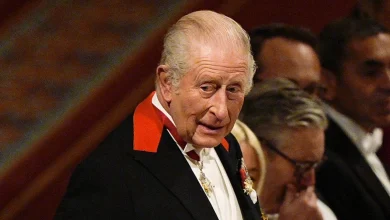 King addresses 'Russian aggression' at state banquet honouring Germany's president