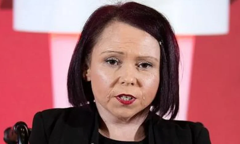 Labour education spokeswoman resigns over links to convicted sex offender