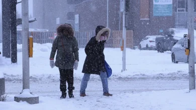 Lake effect snow squalls off Georgian Bay overnight into Saturday morning