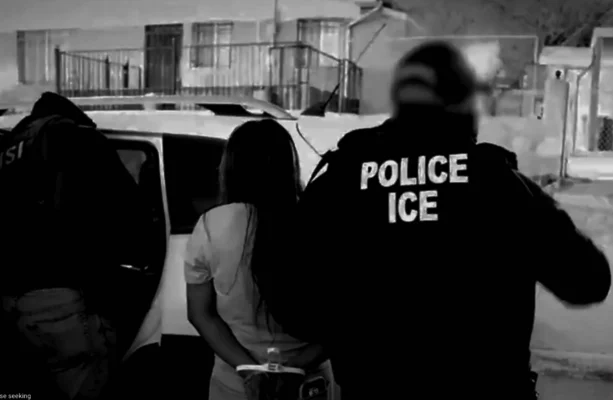 Lawyer tells illegal Irish immigrants in US not to go home for Christmas, after ICE deports 99