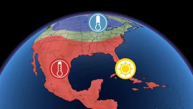 Les « snowbirds » ont pris une bonne décision cette saison