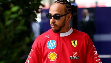 Lewis Hamilton suffers bizarre crash in Abu Dhabi FP3 as session is red-flagged