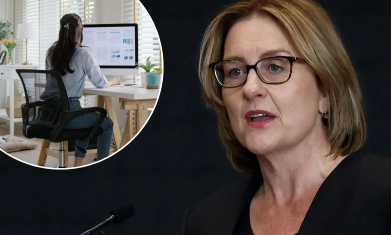 Liberal MP accuses Jacinta Allan of ‘gaslighting’ Victorians over WFH plan