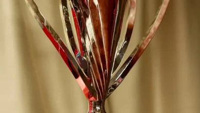 Liga 1, runda #20. LIVE de la 20:30 » Primul meci cu licență pentru Pancu