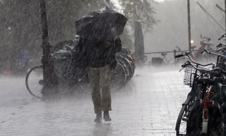 Light drizzle today: Patchy rain tomorrow