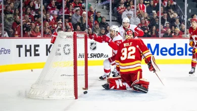 Line Combinations: Red Wings at Flames