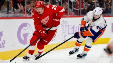 Line Combinations: Red Wings vs. Islanders