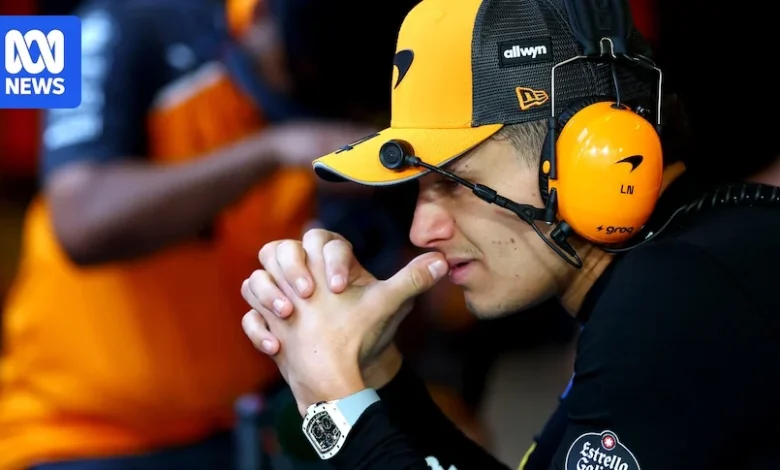 Live: Three-way title battle set to ignite Abu Dhabi Grand Prix