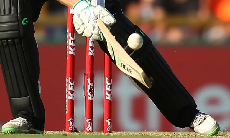 Live Women's Big Bash League on Sky Sports Cricket HD: full details and when it's on