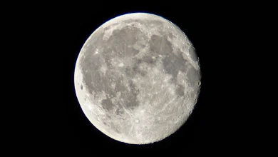 Look up! The final supermoon of 2025 will shine above Sydney this week