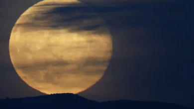 Look up tonight to see the year’s final supermoon