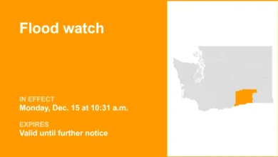 Lower Columbia Basin under a flood watch until further notice