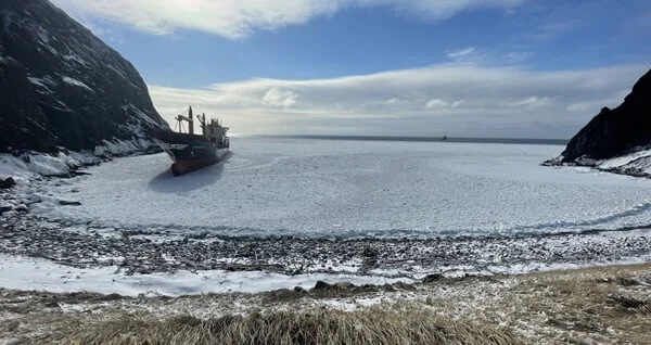 MSC Baltic III : l’épave reste échouée face aux intempéries de Terre-Neuve