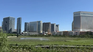 Macau GGR up 14.4% year-on-year to MOP$21.1 billion in November