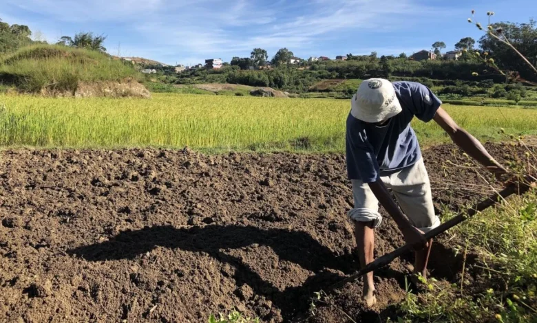 Madagascar: «Ainy ny Tany», l'exposition qui magnifie la terre, ce conservateur du vivant