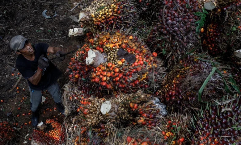 Malaysia palm oil reserves seen at six-year high as exports slump