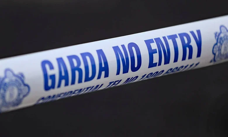 Man (20s) dies in shooting incident in Co Carlow